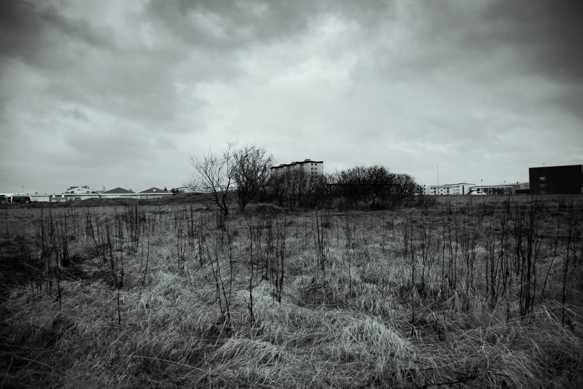 Land in London - photo 3