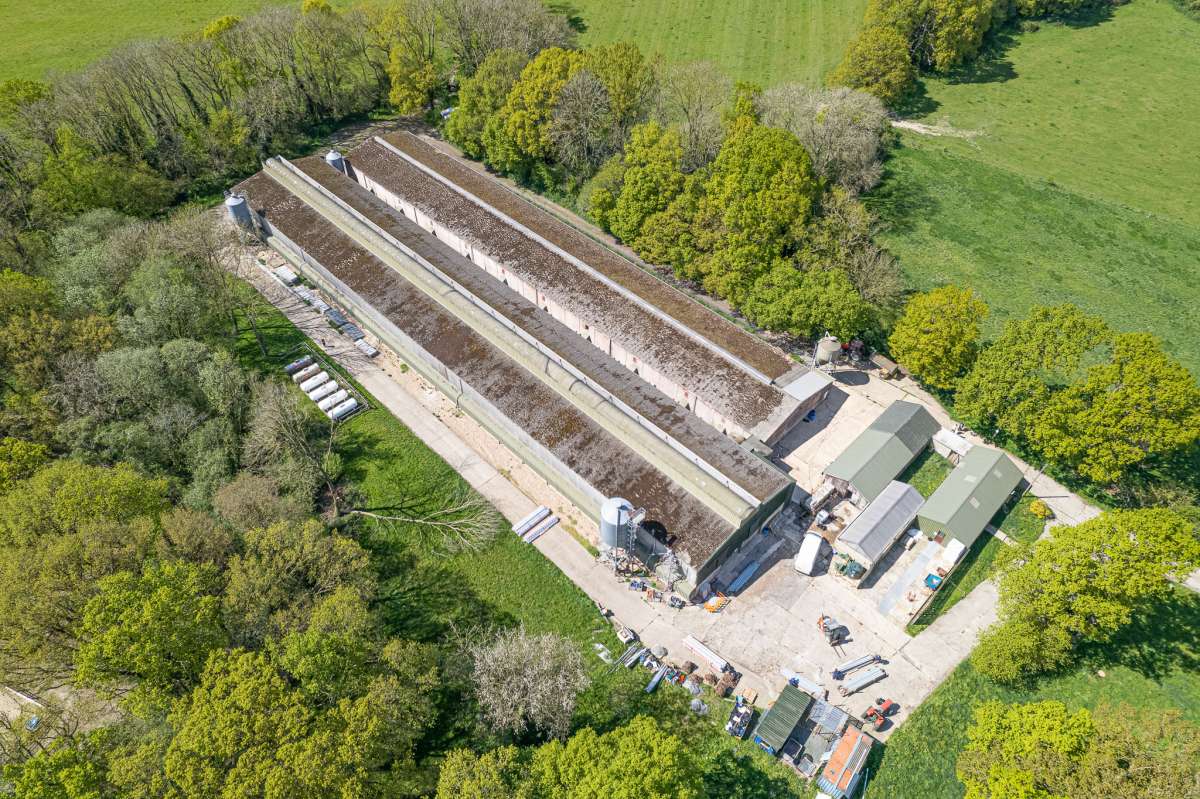 Industrial Unit in Petersfield - photo 3