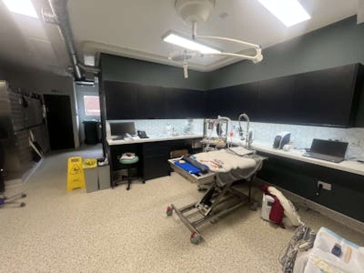 Investment in Blackheath - photo 3