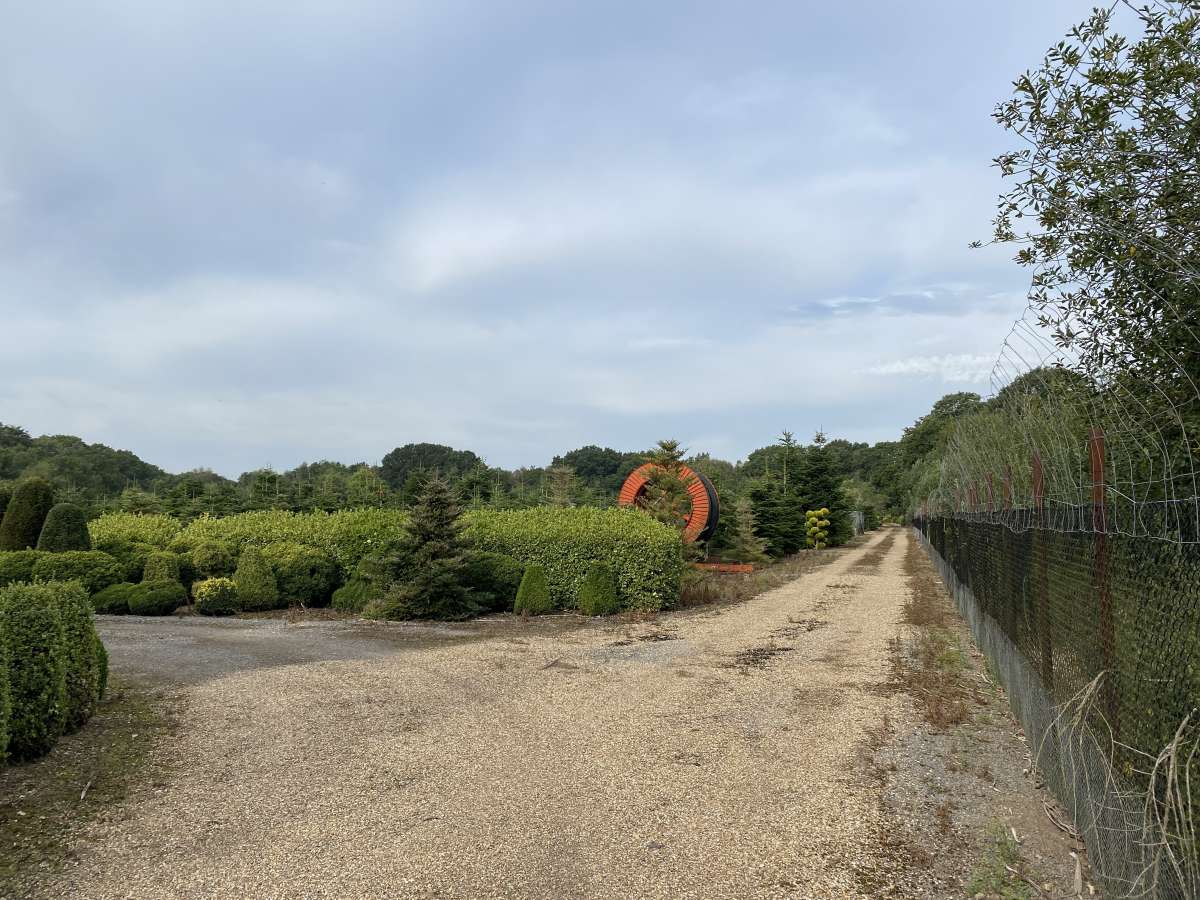 Land in Great Yarmouth - photo 2