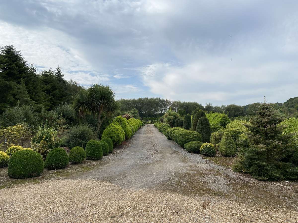 Land in Great Yarmouth - photo 3