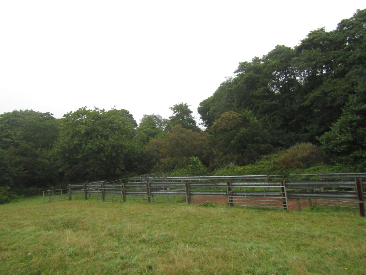 Land in Kingsbridge - photo 3