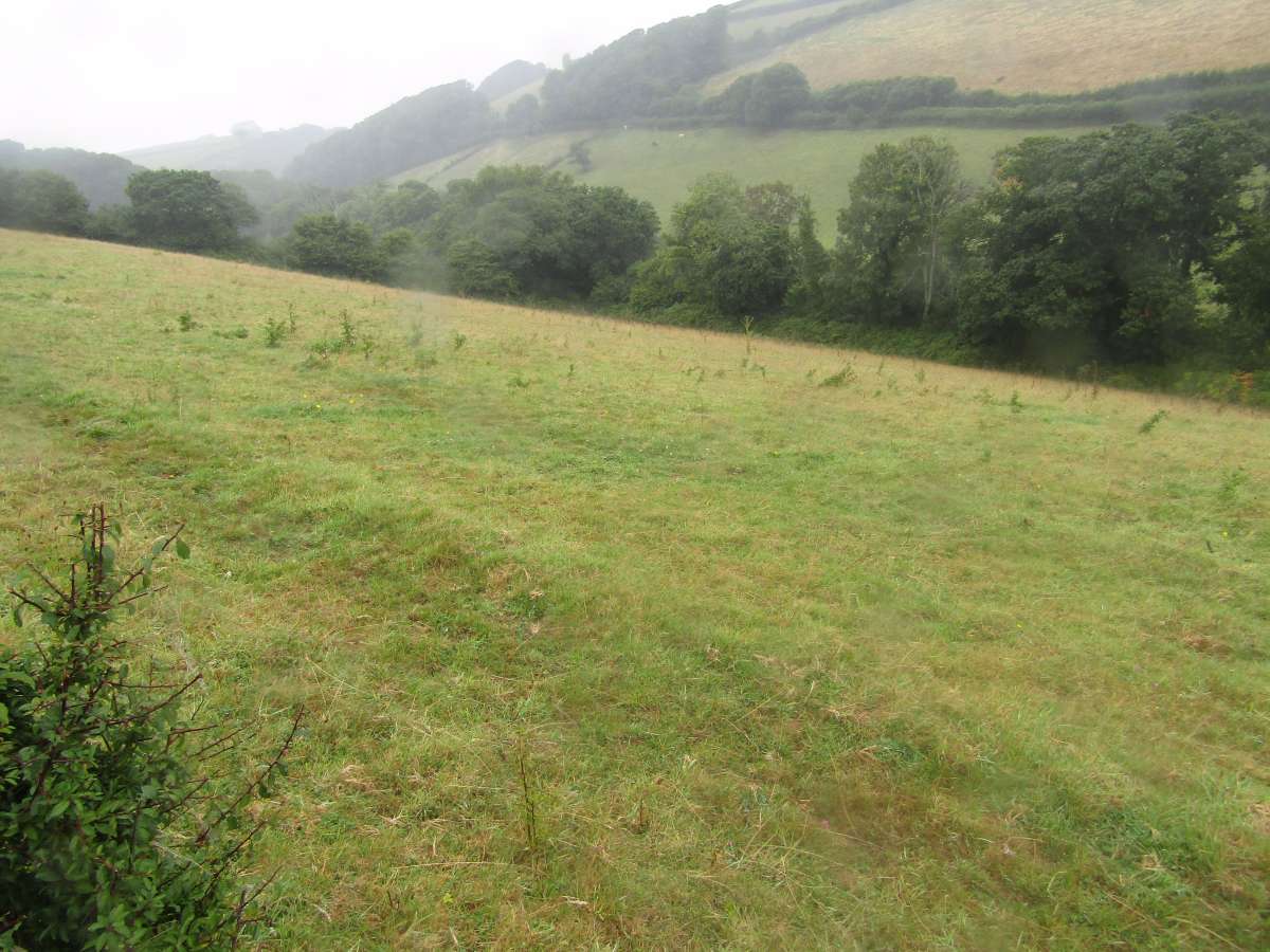 Land in Kingsbridge - photo 2