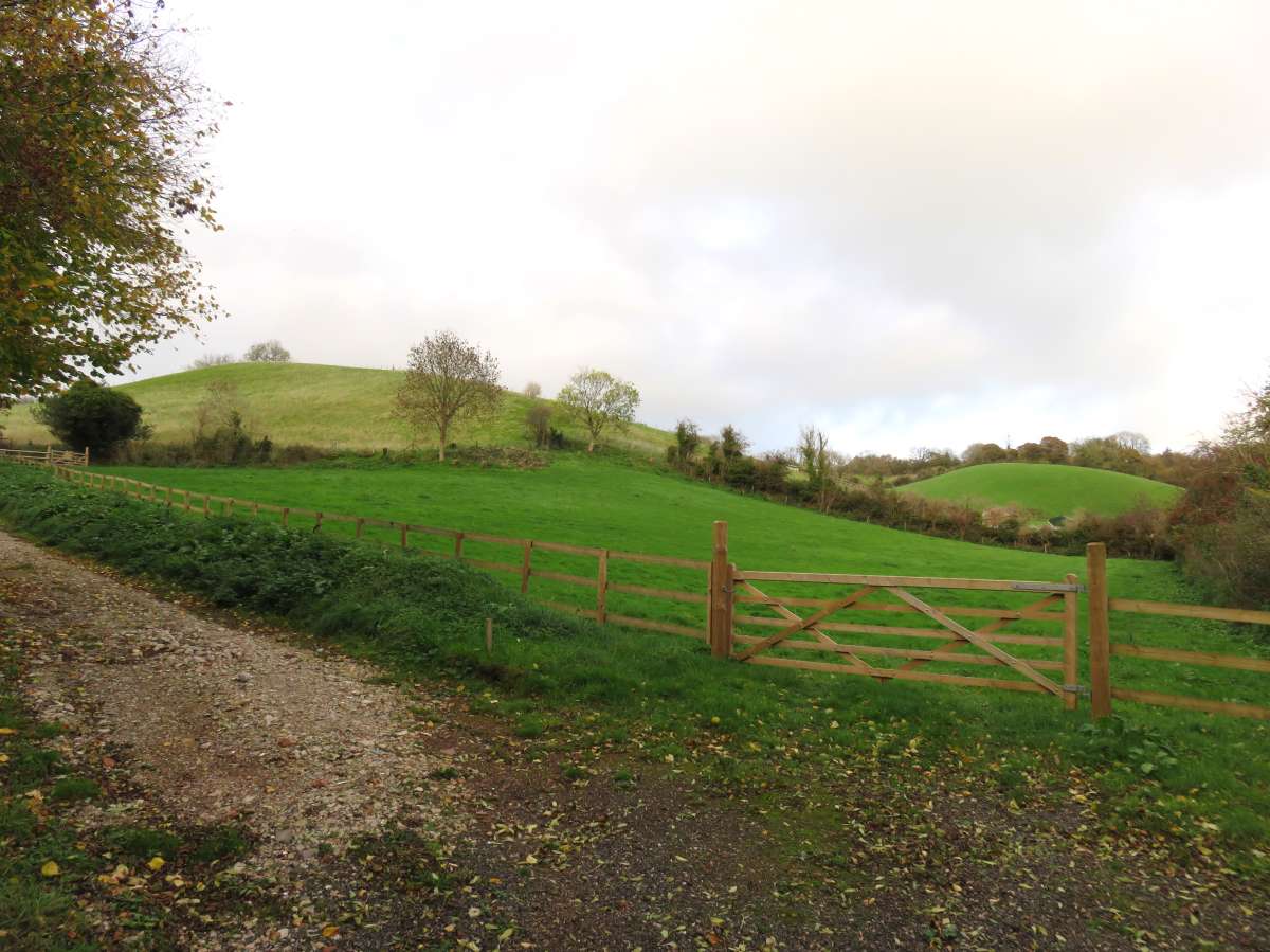 Land in Newton Abbot - photo 3