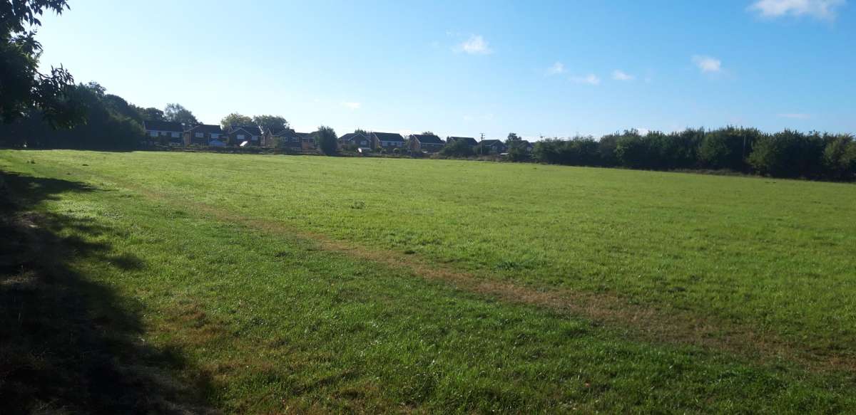 Land in Stafford - photo 2