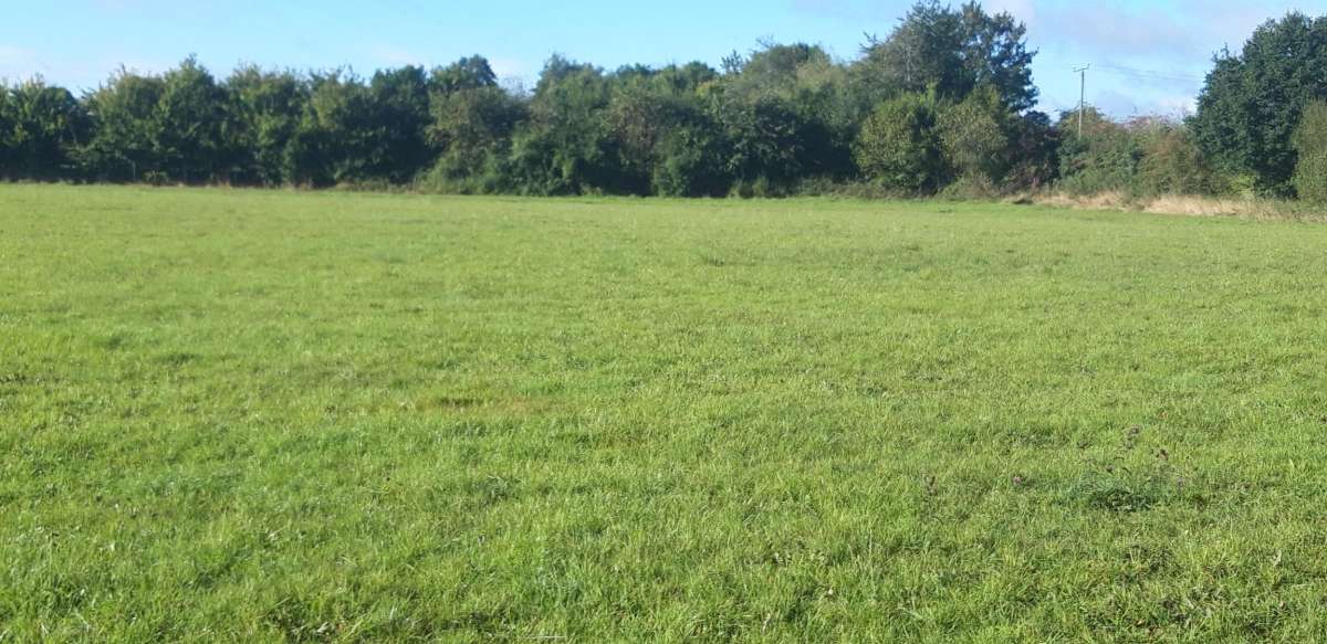 Land in Stafford - photo 3