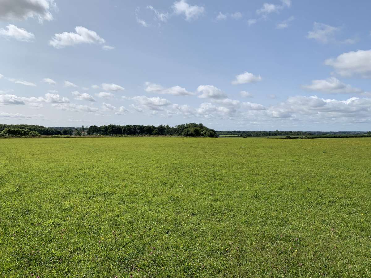 Land in Clapton - photo 2