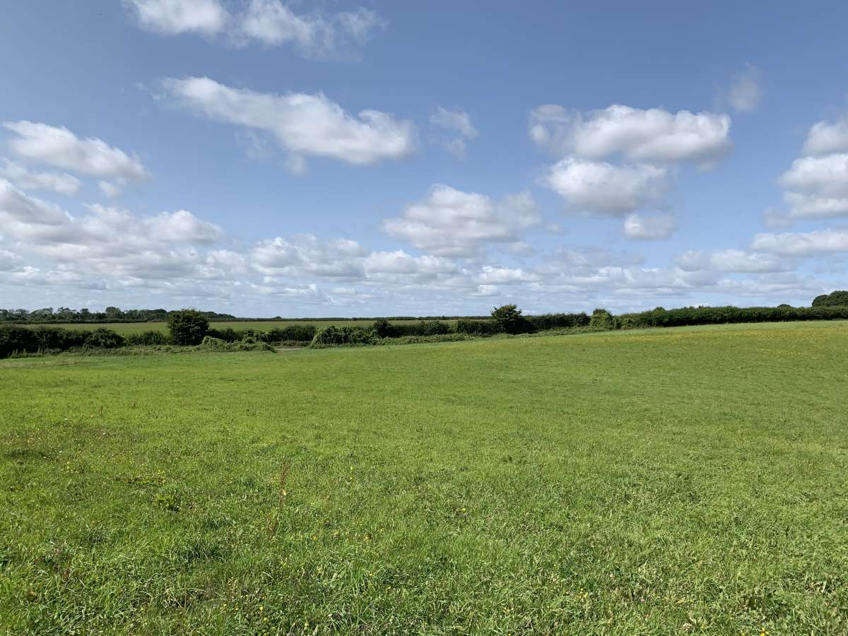 Land in Clapton - photo 4