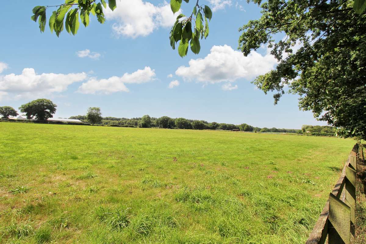 Land in Marsham - photo 2