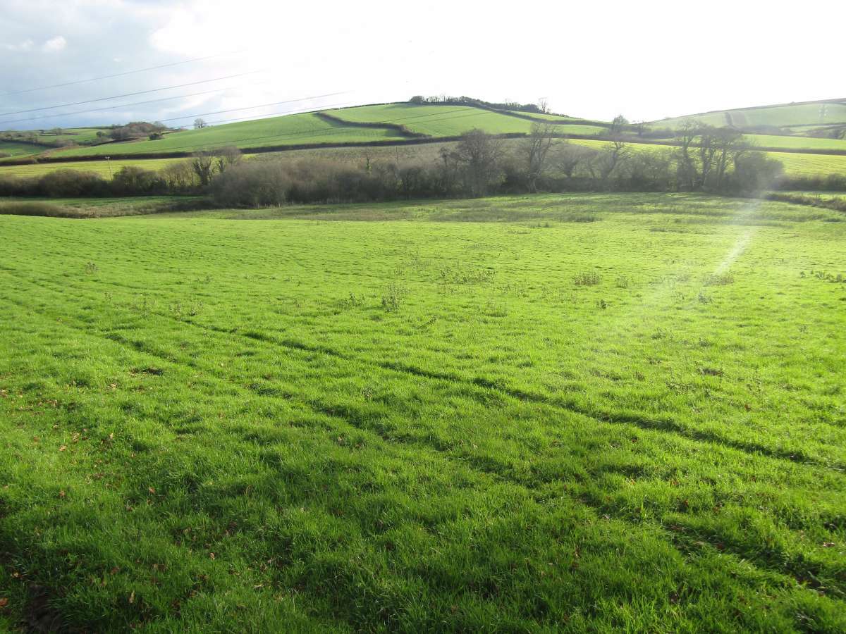 Land in Newton Abbot - photo 2