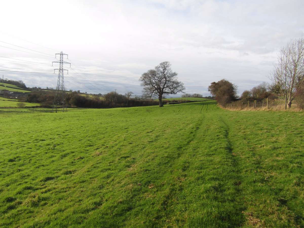 Land in Newton Abbot - photo 4