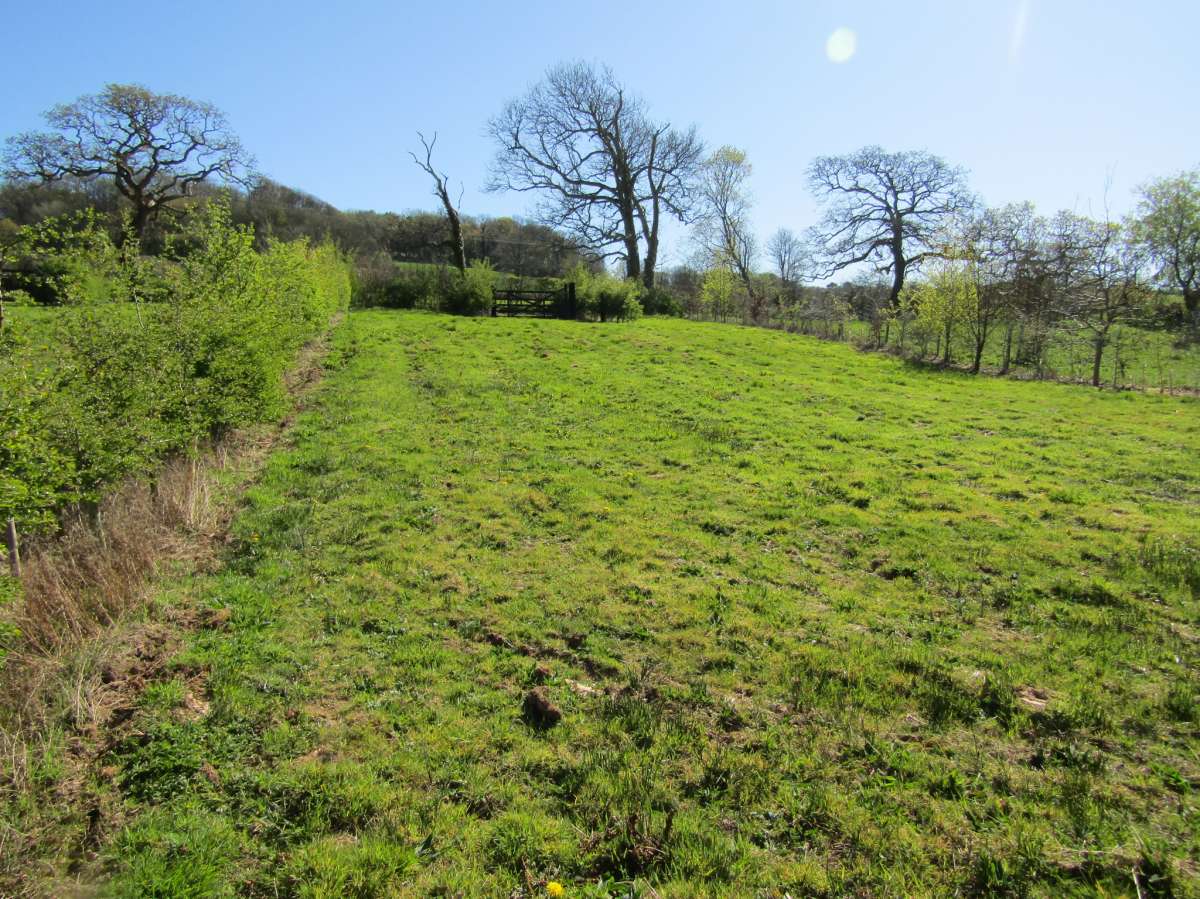 Land in Kingsbridge - photo 2