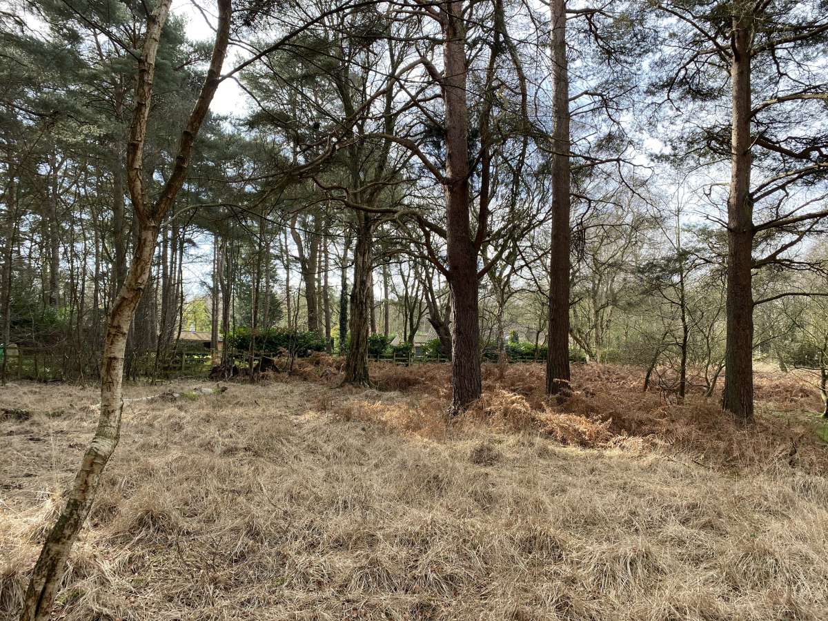 Land in Stratton Strawless - photo 4