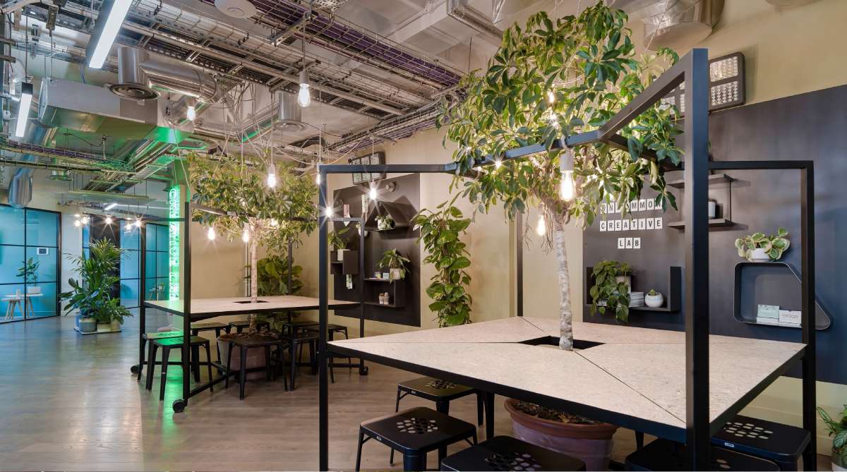 Office in London - photo 2