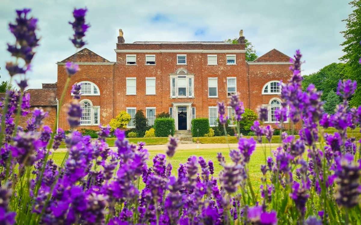 Office in Basingstoke