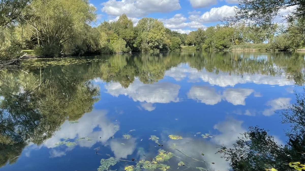 Other in Emmotland - photo 2