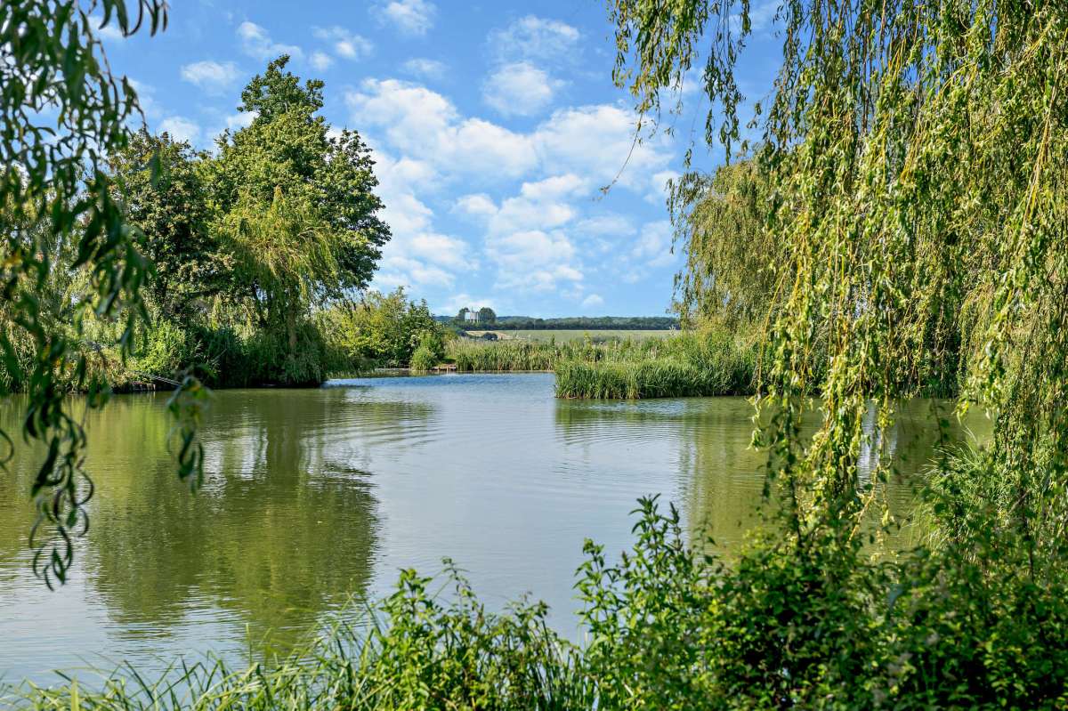 Other in Diss - photo 2