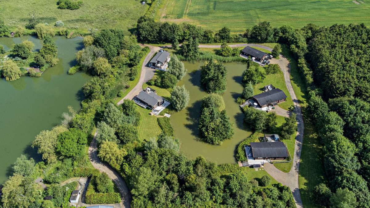 Other in Diss - photo 4