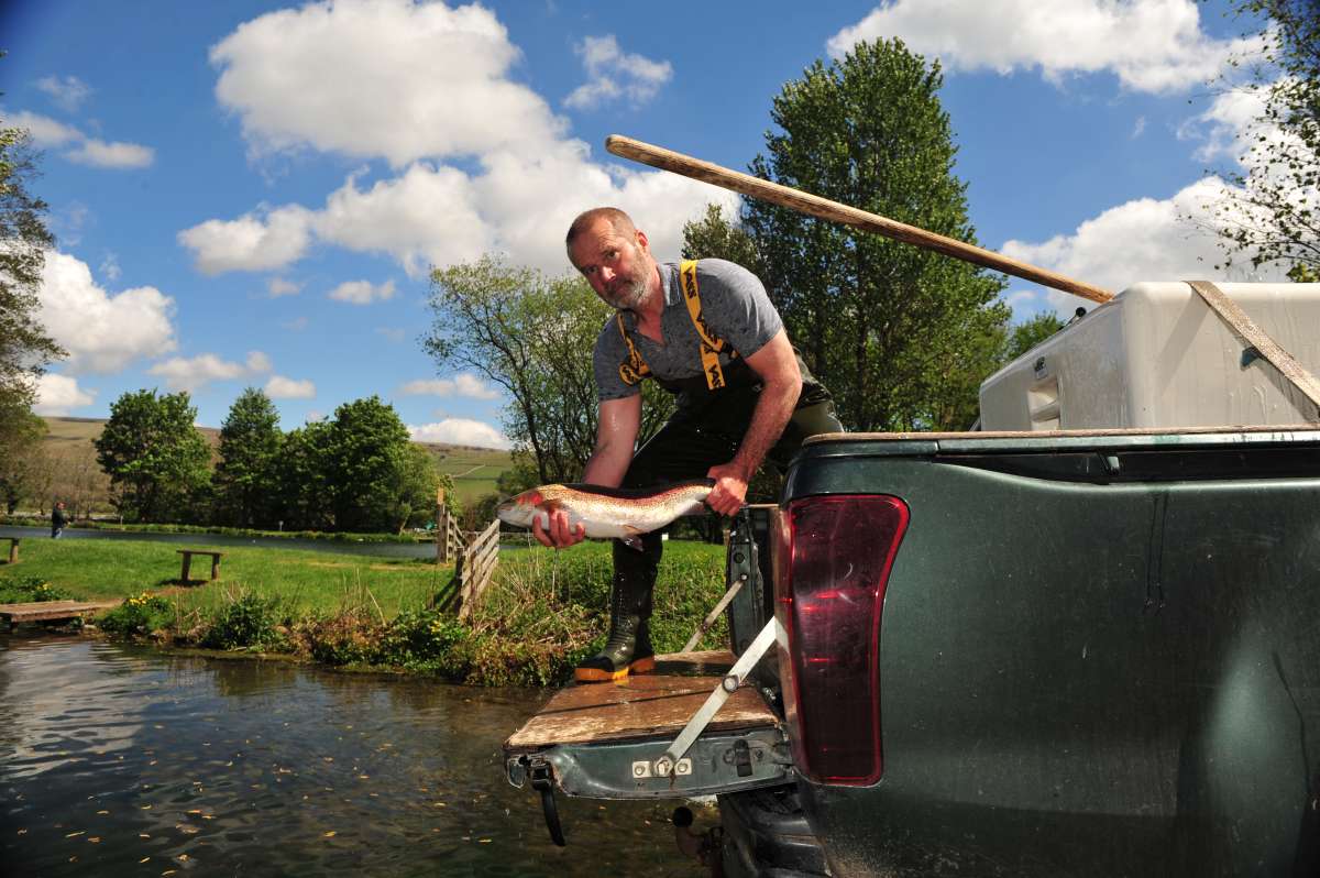 Other in Harrogate - photo 3