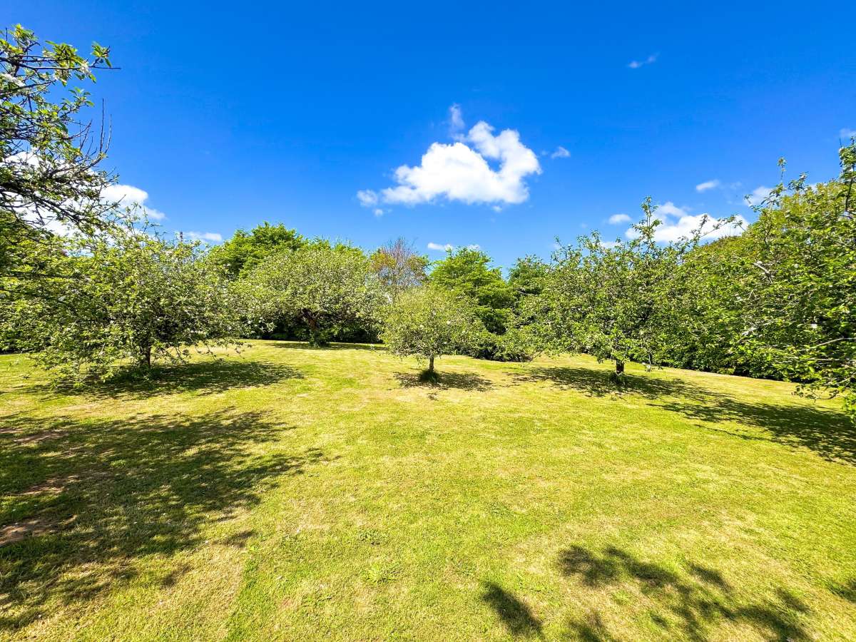 Retail/Shop in Newquay - photo 4