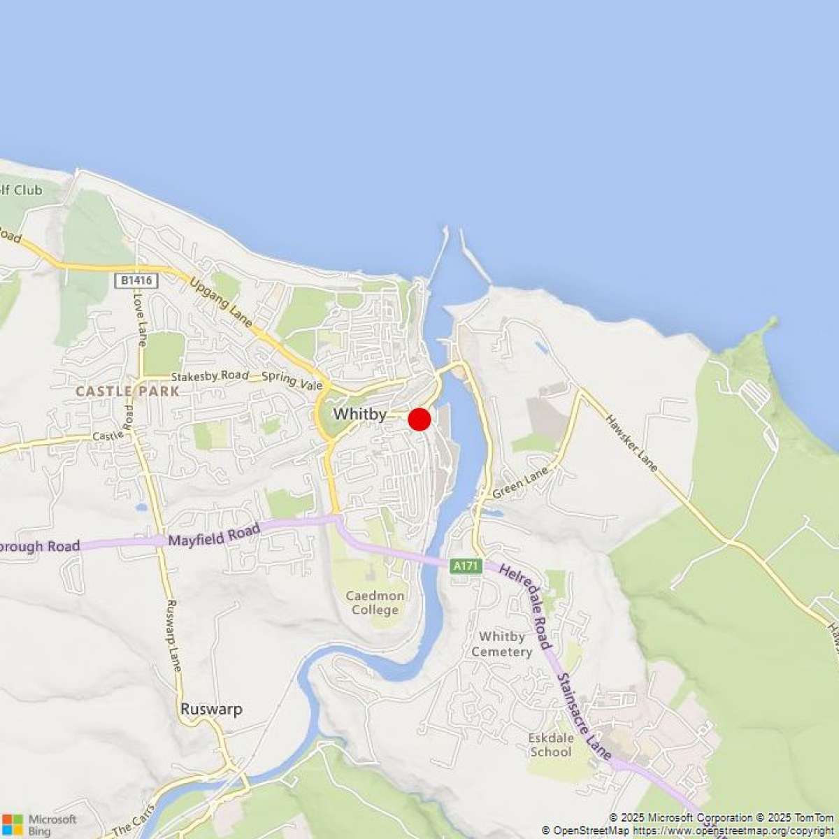 Retail/Shop in Whitby - photo 4