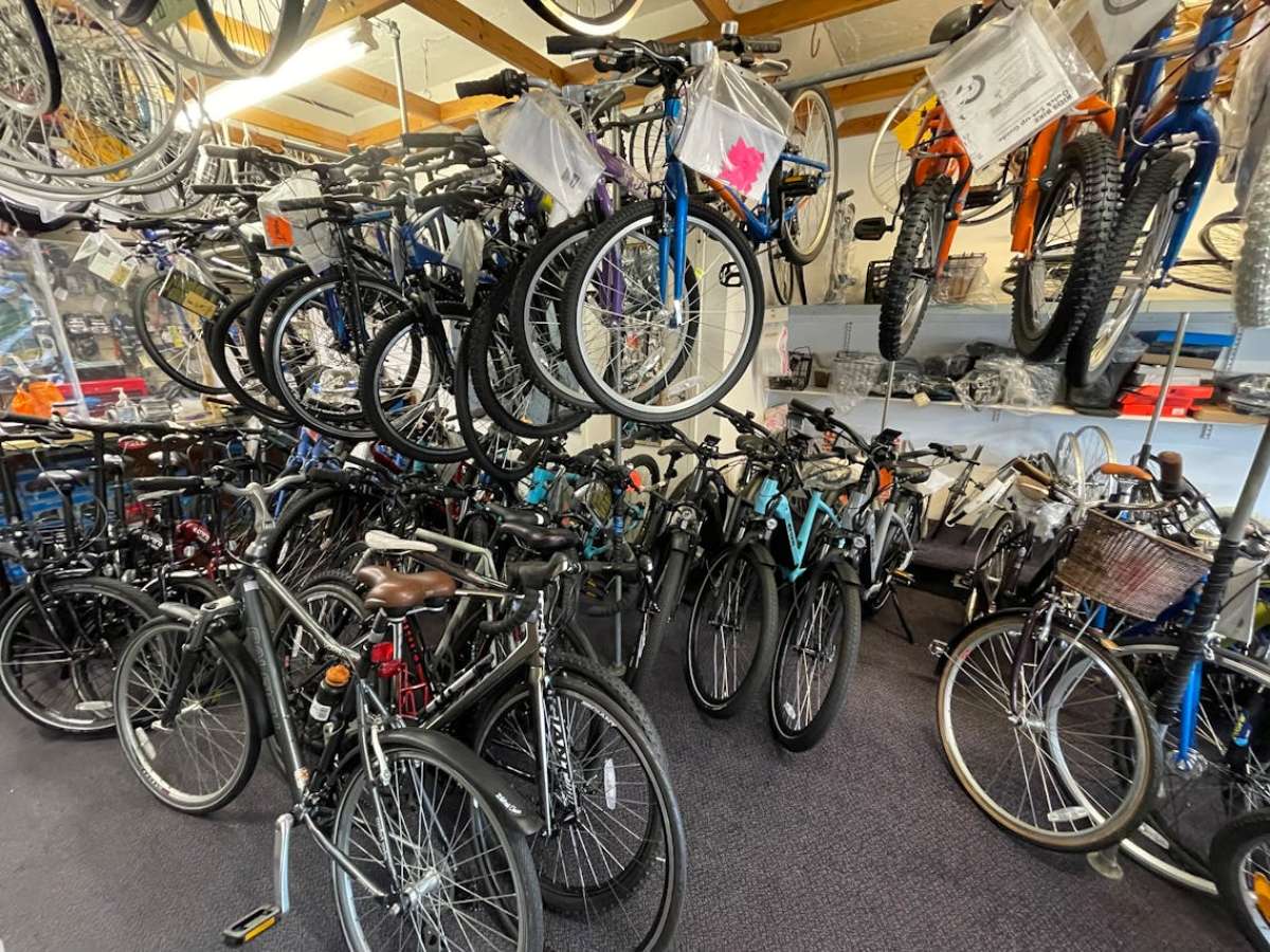 Retail/Shop in Christchurch - photo 4